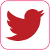 Twitter Logo